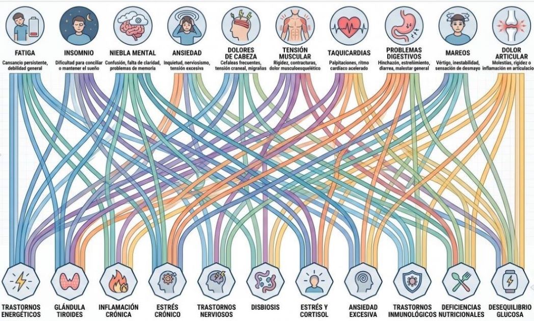 Diagrama de interconexión de síntomas y causas raíz